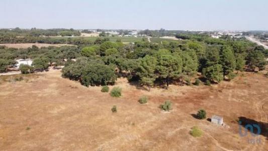 Acheter Terrain Palmela rgion SETUBAL
