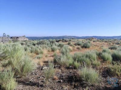 Annonce Vente Terrain Guilheiro