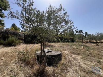 Annonce Vente Terrain Guilheiro