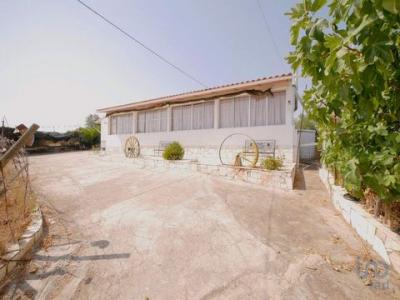 Vente Maison Mertola CORTE-DO-PINTO 02
