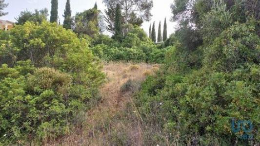 Acheter Terrain 700 m2 Loule