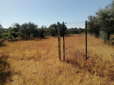 Annonce Vente Terrain Loule