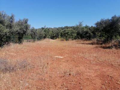 Acheter Terrain 1100 m2 Loule