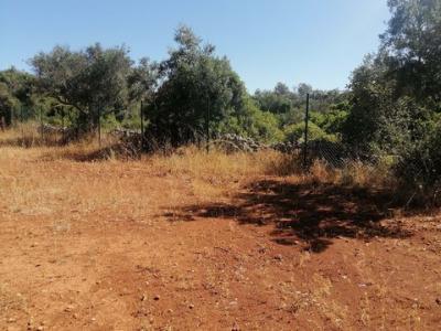 Acheter Terrain Loule rgion FARO