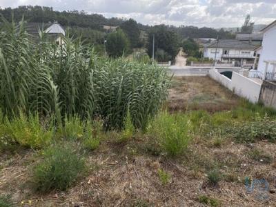 Acheter Terrain 400 m2 Ourem