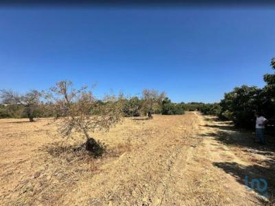 Acheter Terrain 3700 m2 Tavira