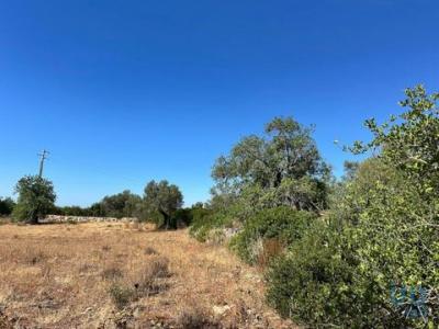 Acheter Terrain 5570 m2 Tavira