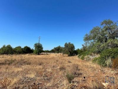 Acheter Terrain Tavira rgion FARO