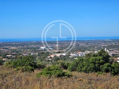 Annonce Vente Terrain Faro