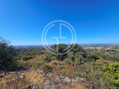 Acheter Terrain 32767 m2 Faro