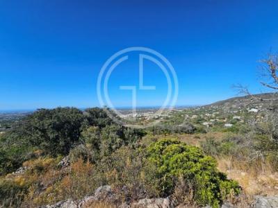 Acheter Terrain Faro rgion FARO