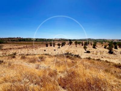 Annonce Vente Terrain Castro-marim