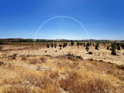 Acheter Terrain 32767 m2 Castro-marim