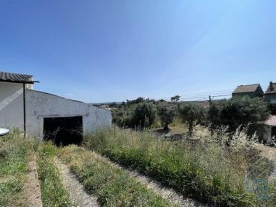 Vente Maison Alem-da-ribeira ASSEICEIRA 14 au Portugal
