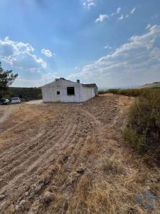 Acheter Maison Castelo-branco rgion CASTELO-BRANCO