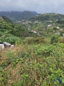 Annonce Vente Terrain Porto-da-cruz