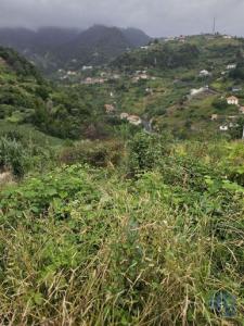 Acheter Terrain 870 m2 Porto-da-cruz