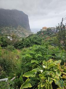 Annonce Vente Terrain Porto-da-cruz