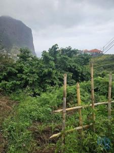 Acheter Terrain 990 m2 Porto-da-cruz