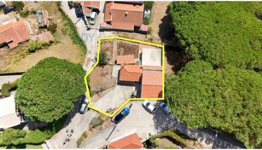 Acheter Maison 81 m2 Alcabideche