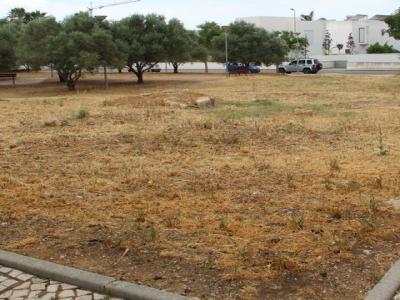 Acheter Terrain 868 m2 Loule