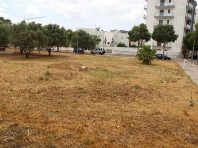 Acheter Terrain Loule rgion FARO