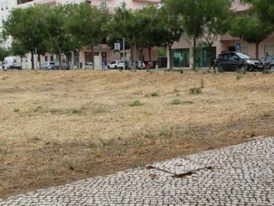 Annonce Vente Terrain Loule
