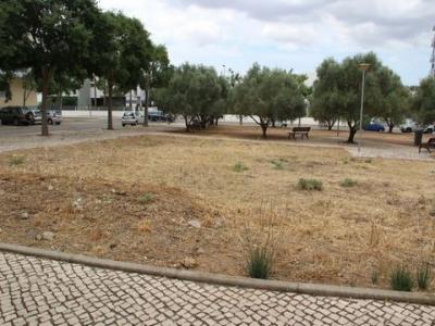 Acheter Terrain Loule rgion FARO