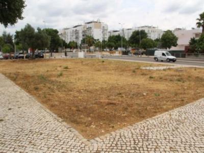 Annonce Vente Terrain Loule