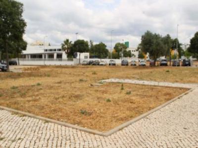 Acheter Terrain 291 m2 Loule