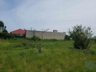Annonce Vente Terrain Bombarral