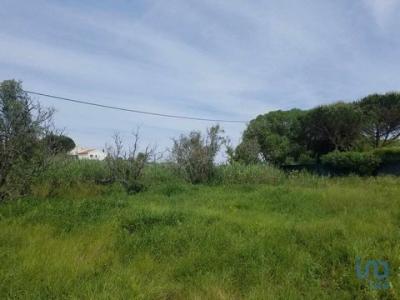 Acheter Terrain 5880 m2 Bombarral