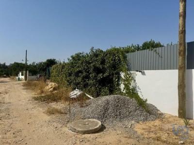 Acheter Terrain 30 m2 Palmela