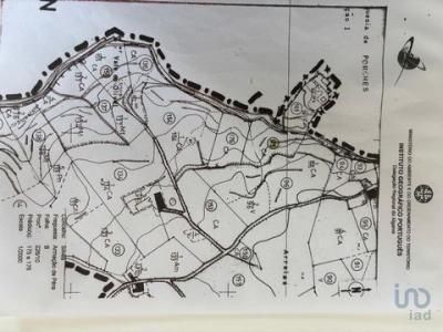 Acheter Terrain 2820 m2 Alcantarilha