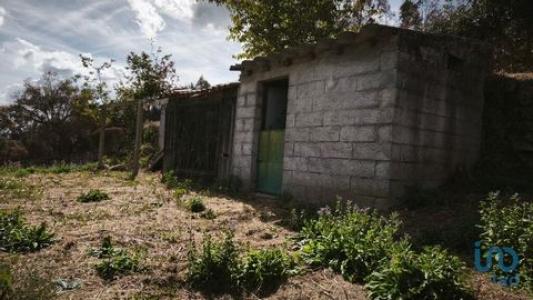 Annonce Vente Terrain Oliveira-do-hospital