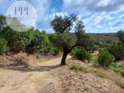 Acheter Terrain 11142 m2 Vila-do-bispo