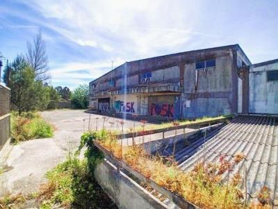 Acheter Local commercial 6235 m2 Belas