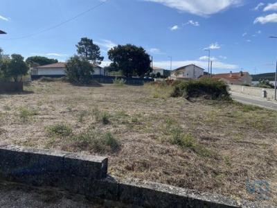 Acheter Terrain Leiria rgion LEIRIA