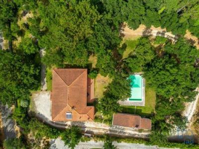 Annonce Vente 12 pices Maison Caldas-da-rainha