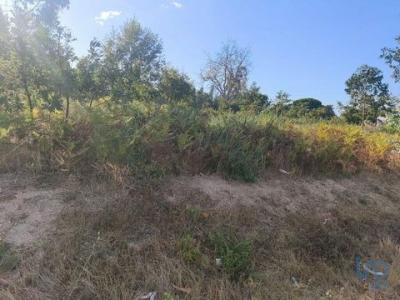 Acheter Terrain 6100 m2 Andorinha