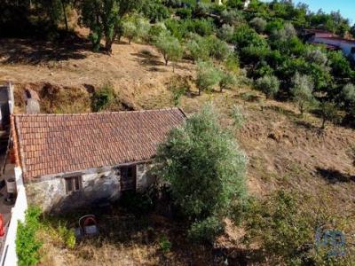 Annonce Vente 4 pices Maison Carvalhal
