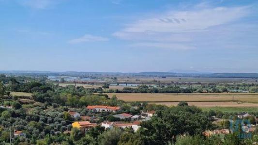 Annonce Vente Terrain Chamusca