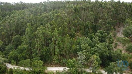 Annonce Vente Terrain Pombal