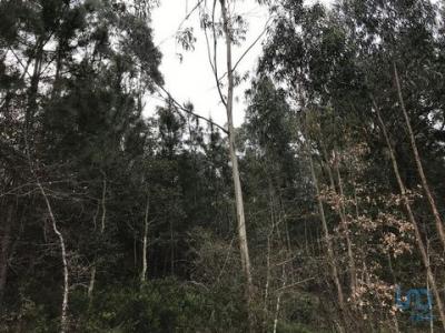 Acheter Terrain 1480 m2 Pombal