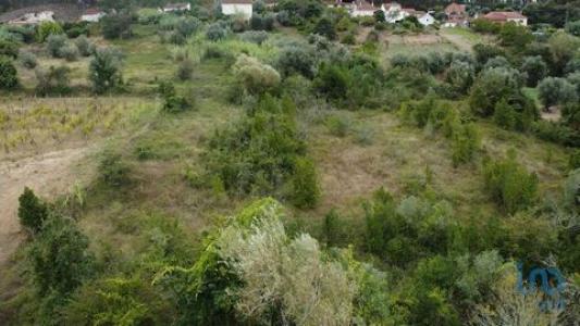 Annonce Vente Terrain Pombal