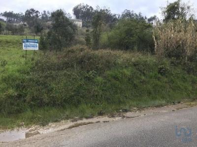 Acheter Terrain 1150 m2 Pombal