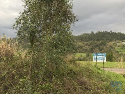 Acheter Terrain Pombal rgion LEIRIA