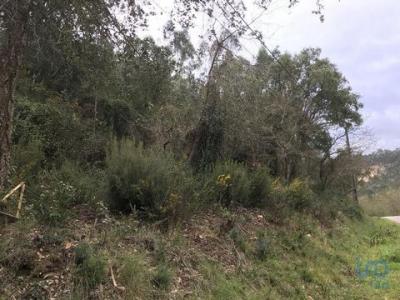 Acheter Terrain 840 m2 Pombal
