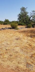 Annonce Vente Terrain Loule