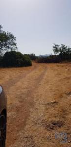 Acheter Terrain 13750 m2 Loule